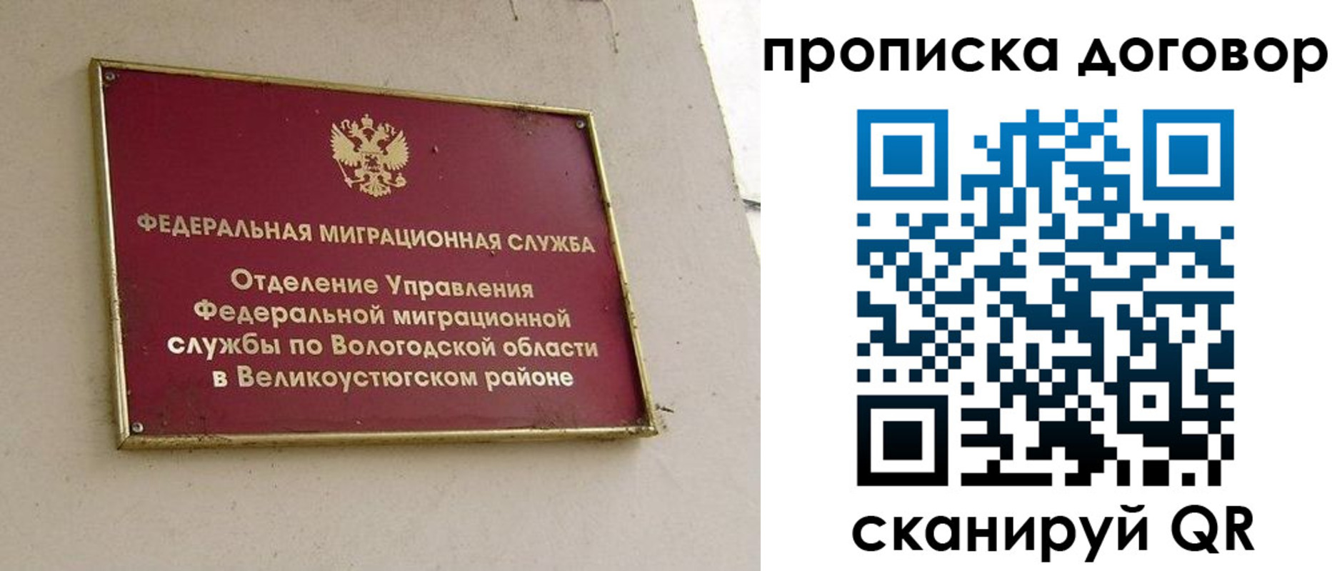 временная регистрация гарантия в Камышине