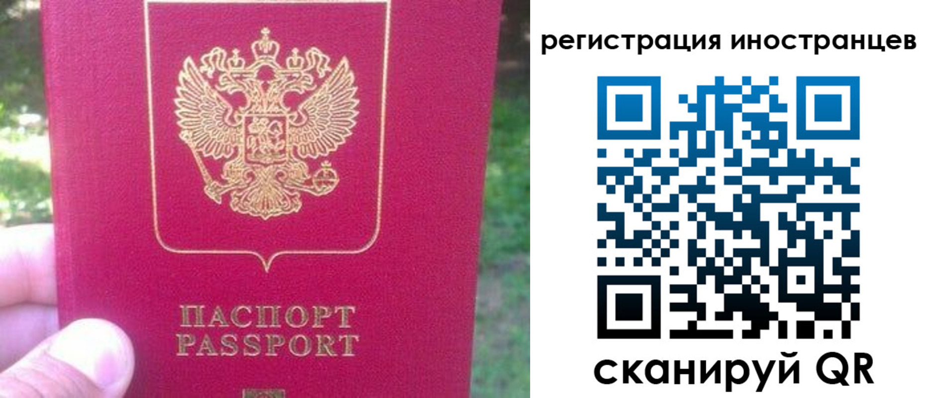 временная регистрация законно в Камышине